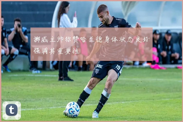 挪威主帅称赞哈兰德身体状态良好强调其重要性