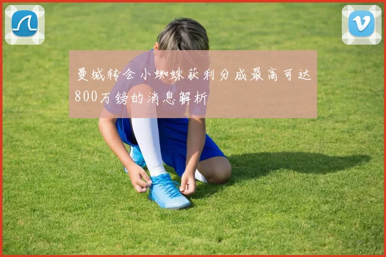 曼城转会小蜘蛛获利分成最高可达800万镑的消息解析