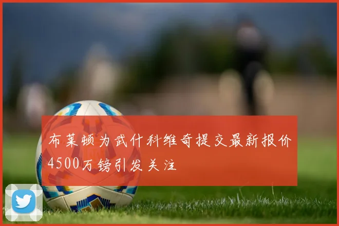 布莱顿为武什科维奇提交最新报价4500万镑引发关注