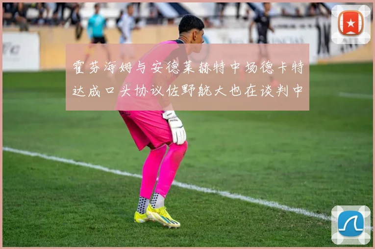 霍芬海姆与安德莱赫特中场德卡特达成口头协议佐野航大也在谈判中
